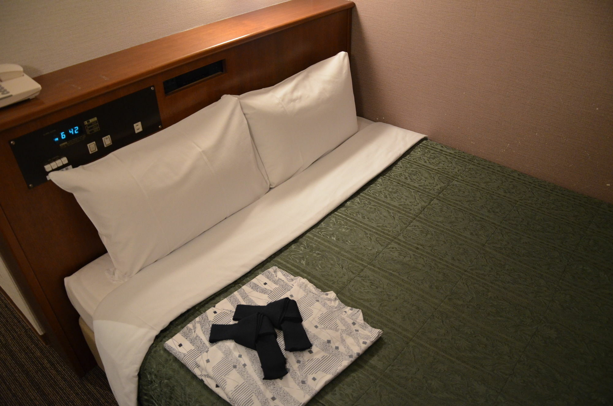 Hikone Biwako Hotel מראה חיצוני תמונה